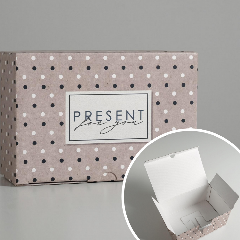 Коробка-пенал "Present" 22*15*10 см