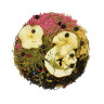 Чай Tasteabrew Apple and juniper (Яблоко и можжевельник), на чайник 650 мл, 30г